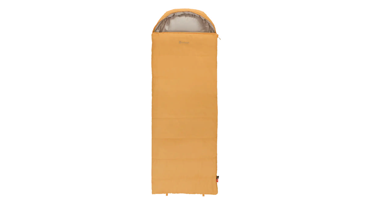Campion Prime Yellow